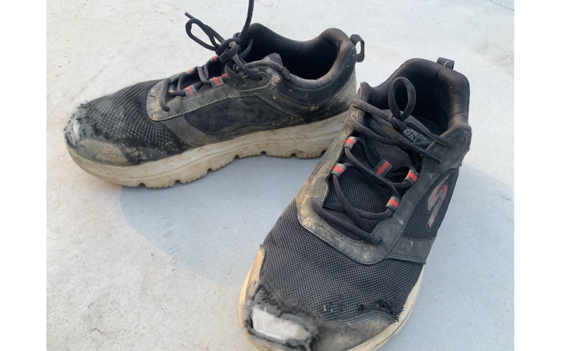 【天華人】光榮的伙伴，無聲的陪伴